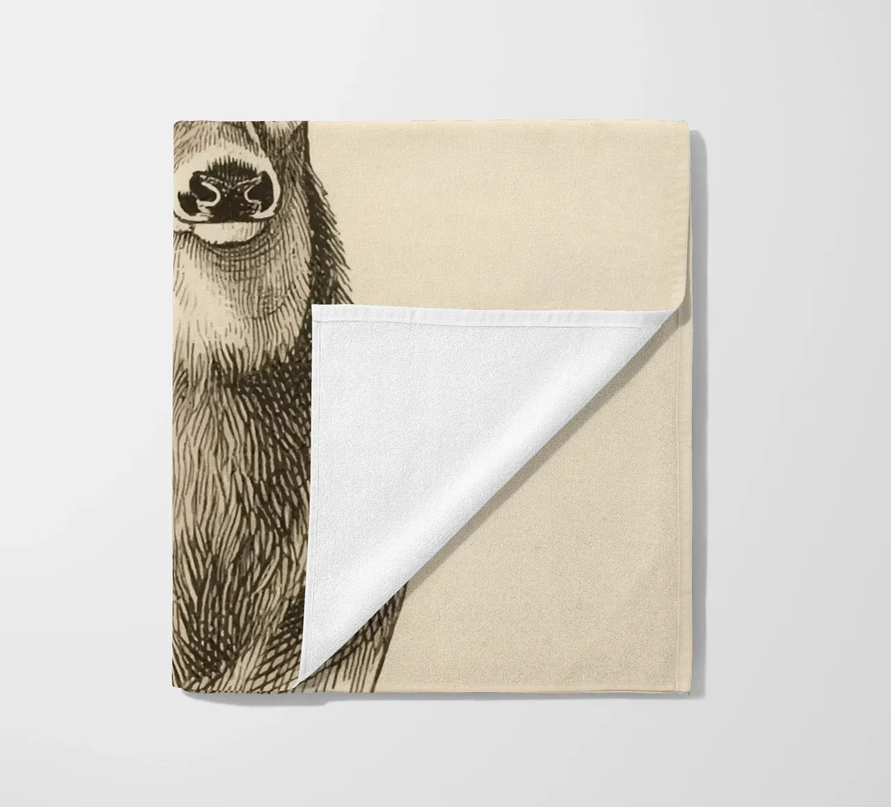 Cervo telo mare da knowledge