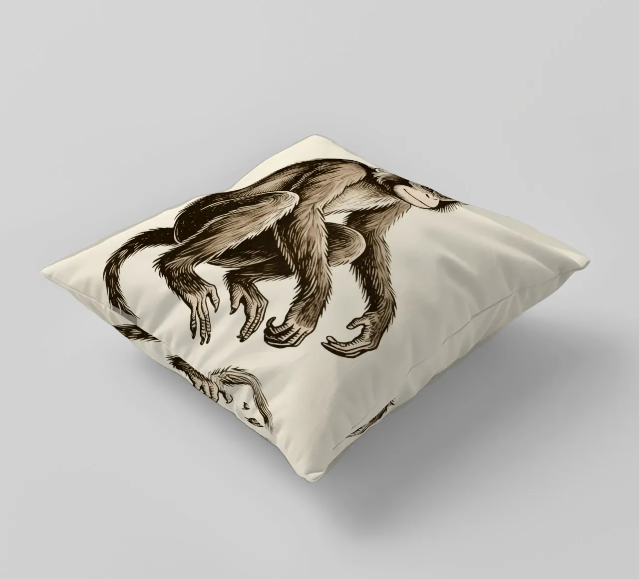 Scimmia cuscino da knowledge