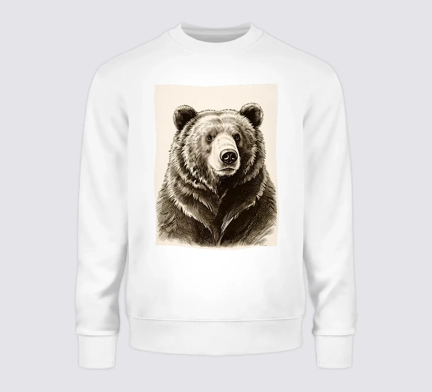Orso felpa da knowledge