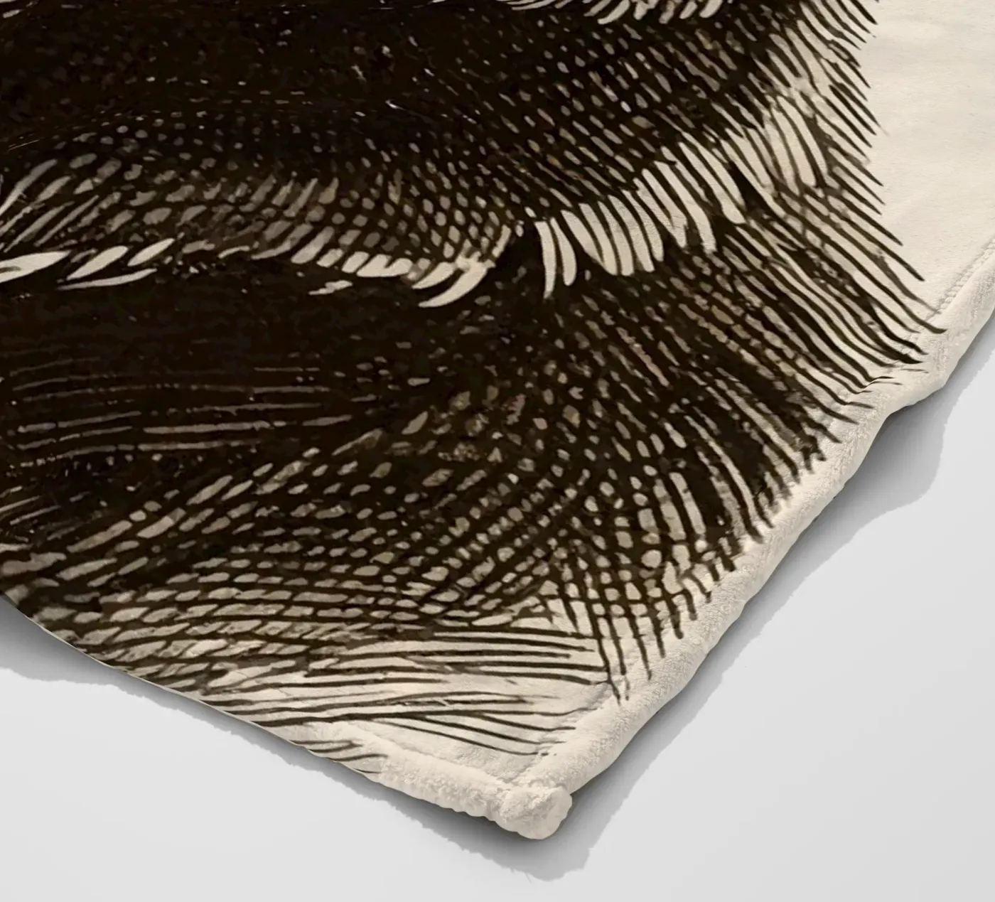 Bear coperta in pile da knowledge