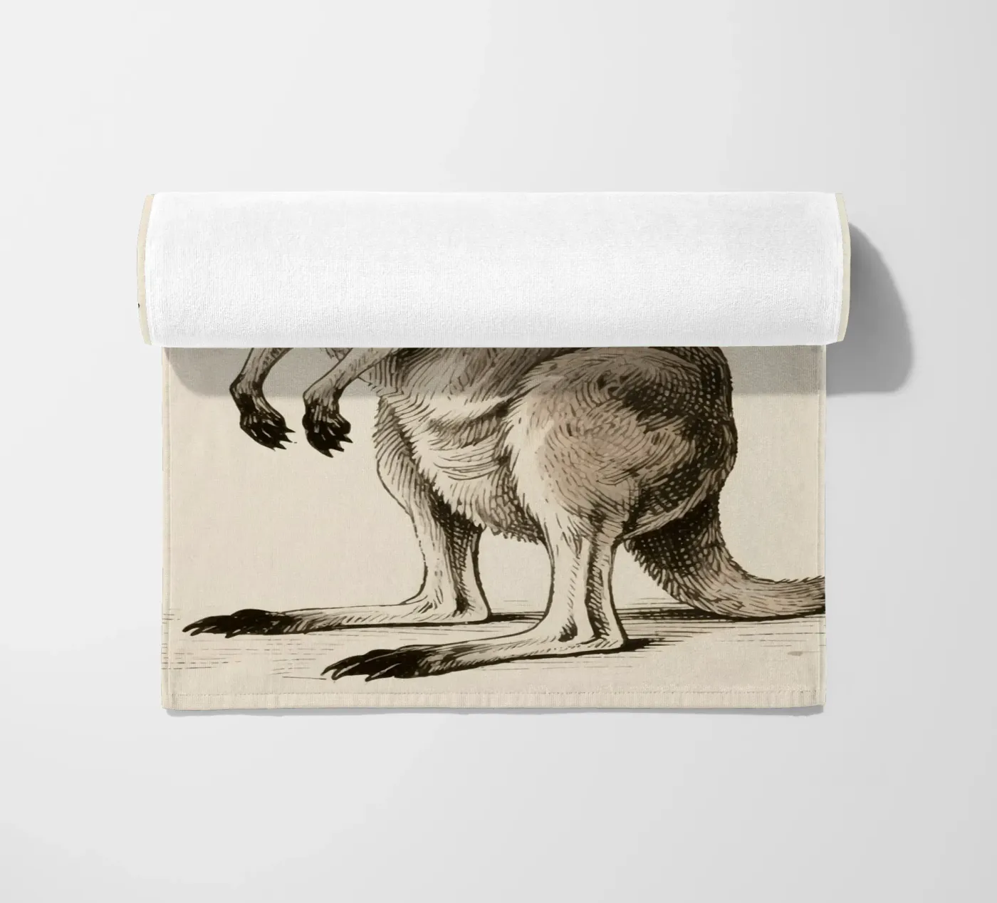 Kangaroo telo mare da knowledge