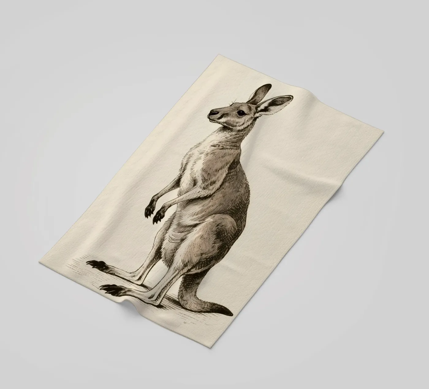Kangaroo telo mare da knowledge