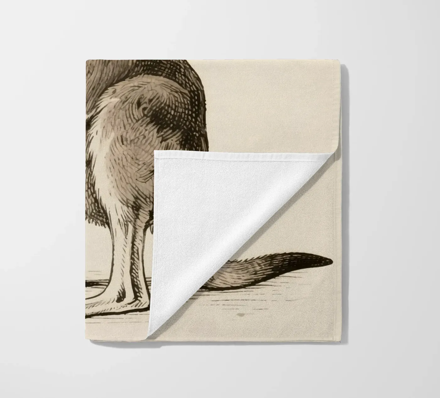 Kangaroo telo mare da knowledge