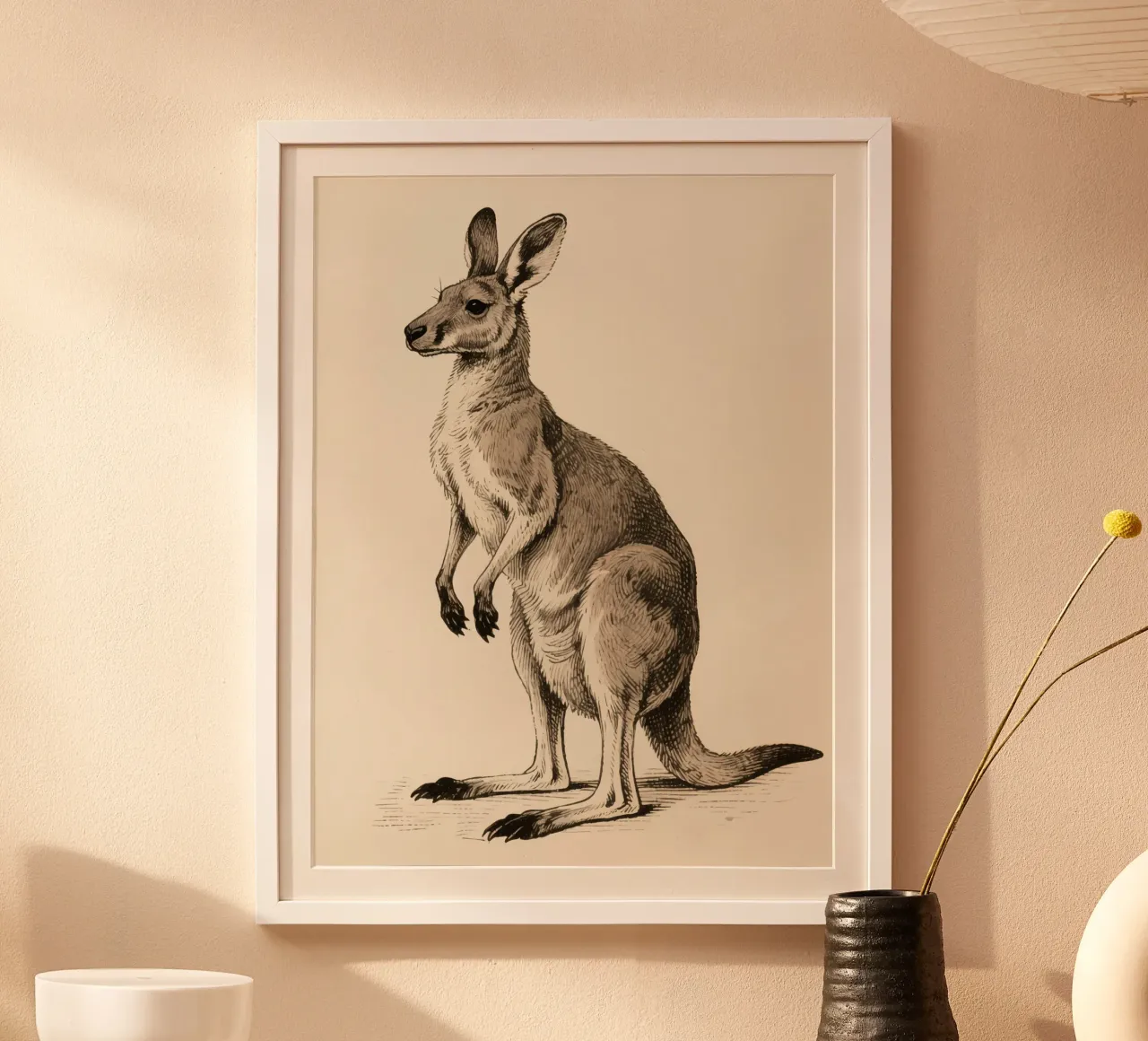 Canguro poster da knowledge