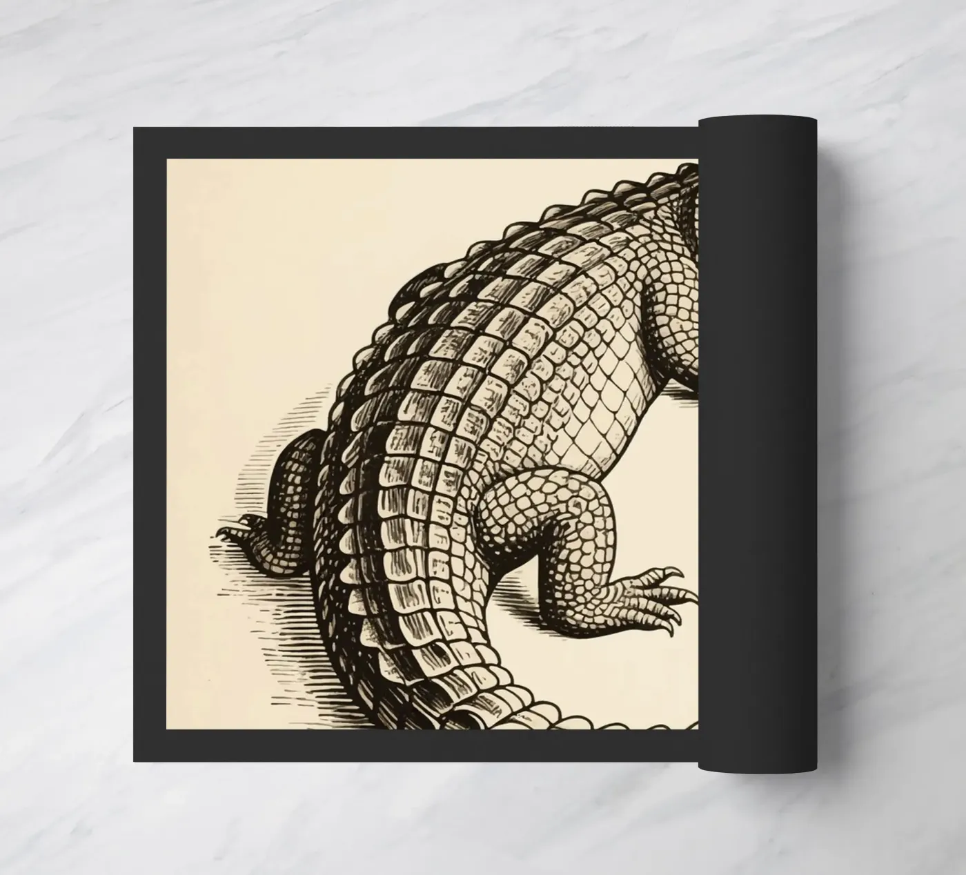 Crocodile zerbino da knowledge