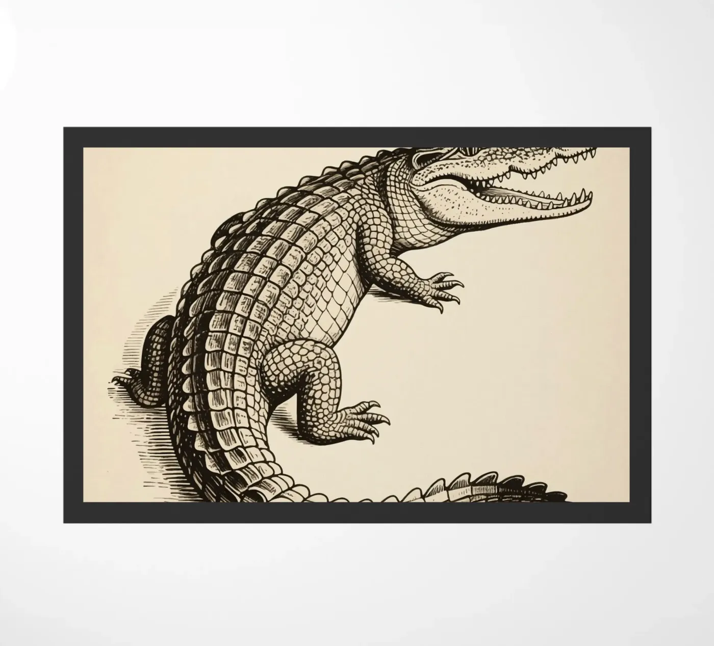 Crocodile zerbino da knowledge
