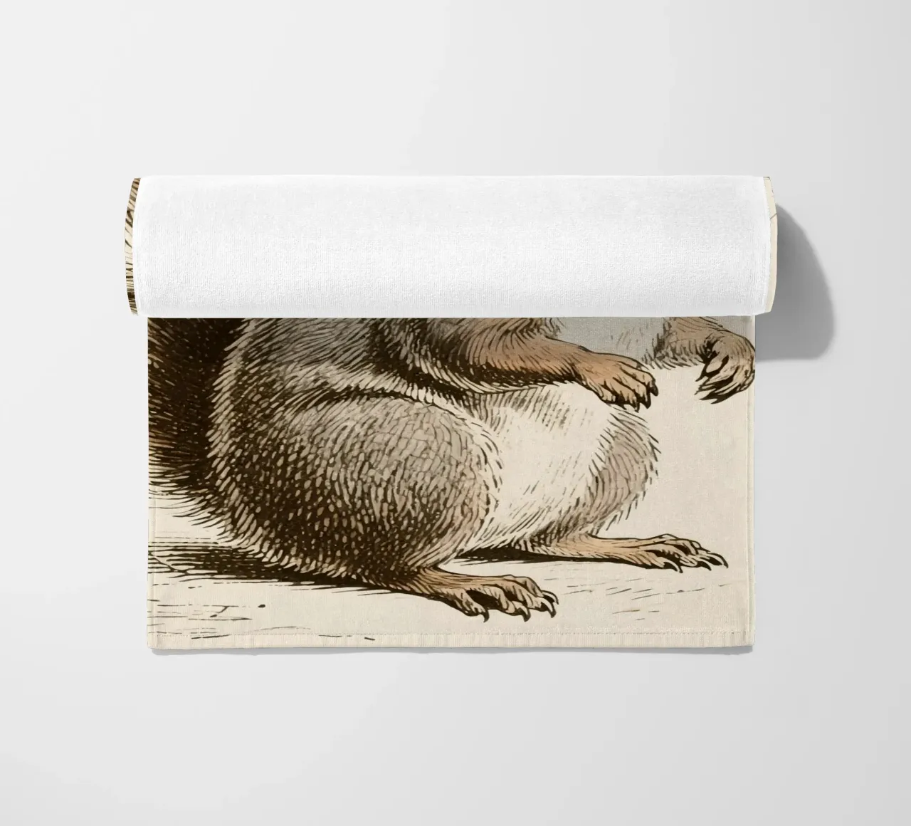 Scoiattolo telo mare da knowledge