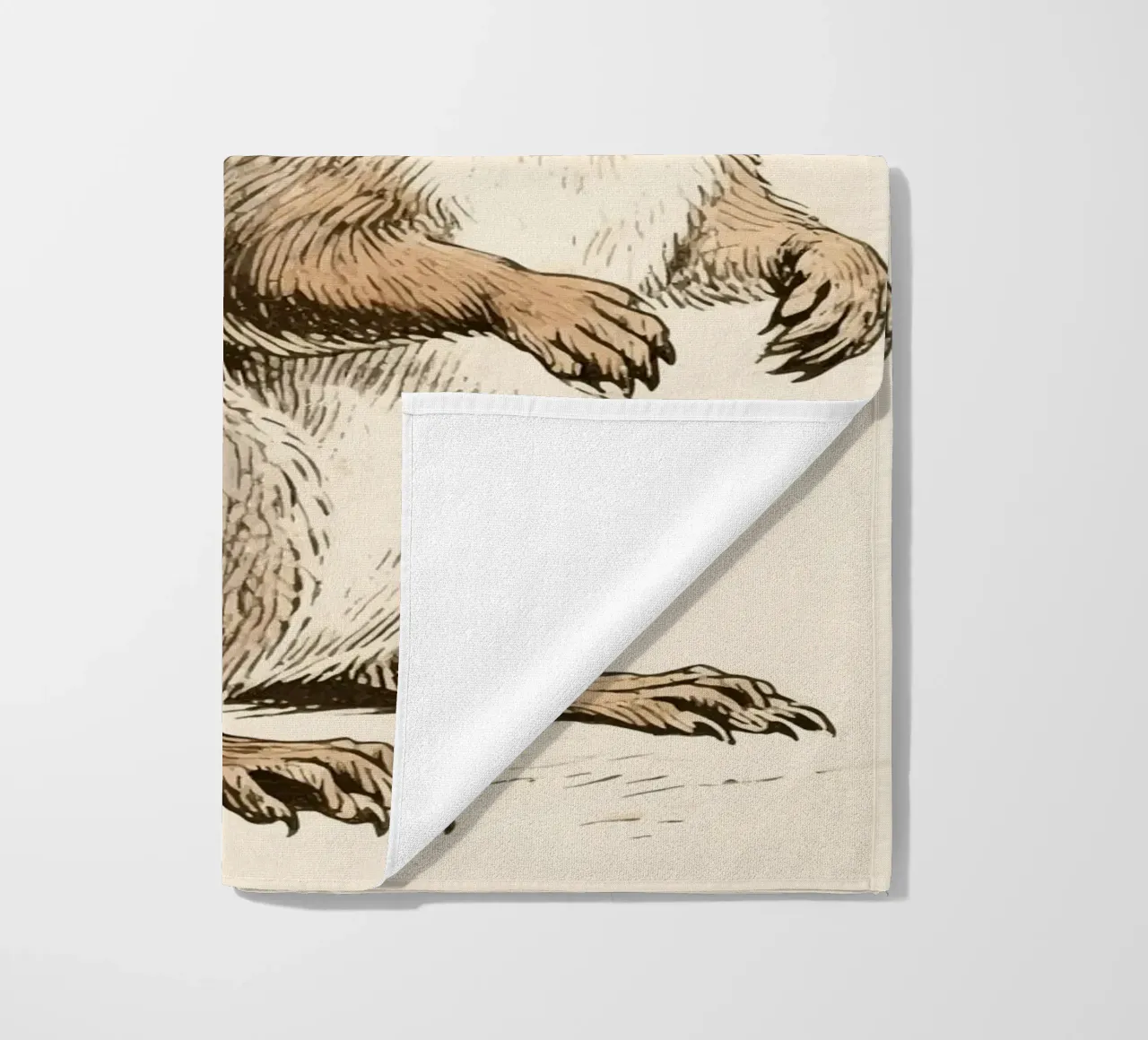 Scoiattolo telo mare da knowledge