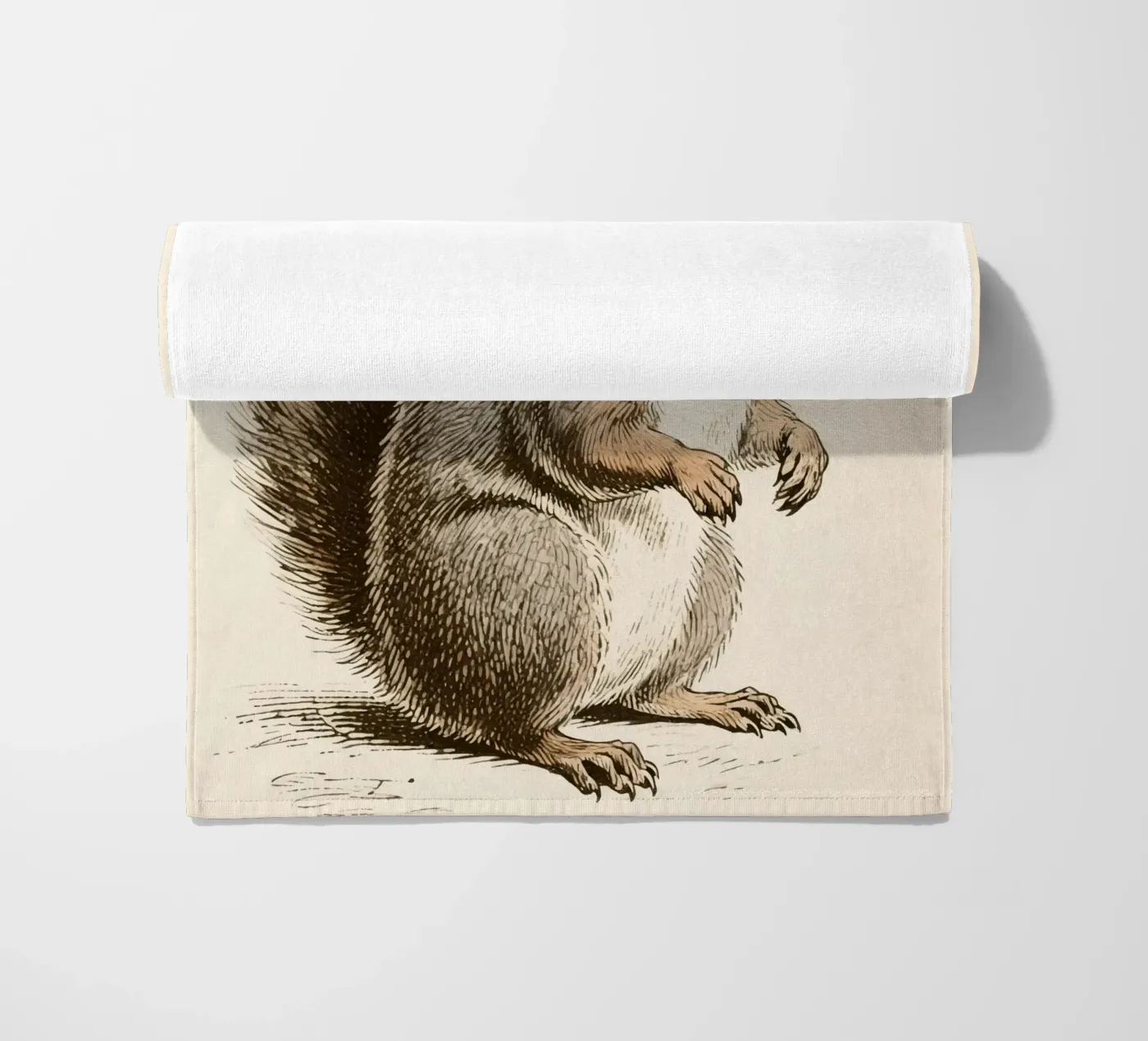 Scoiattolo telo mare da knowledge