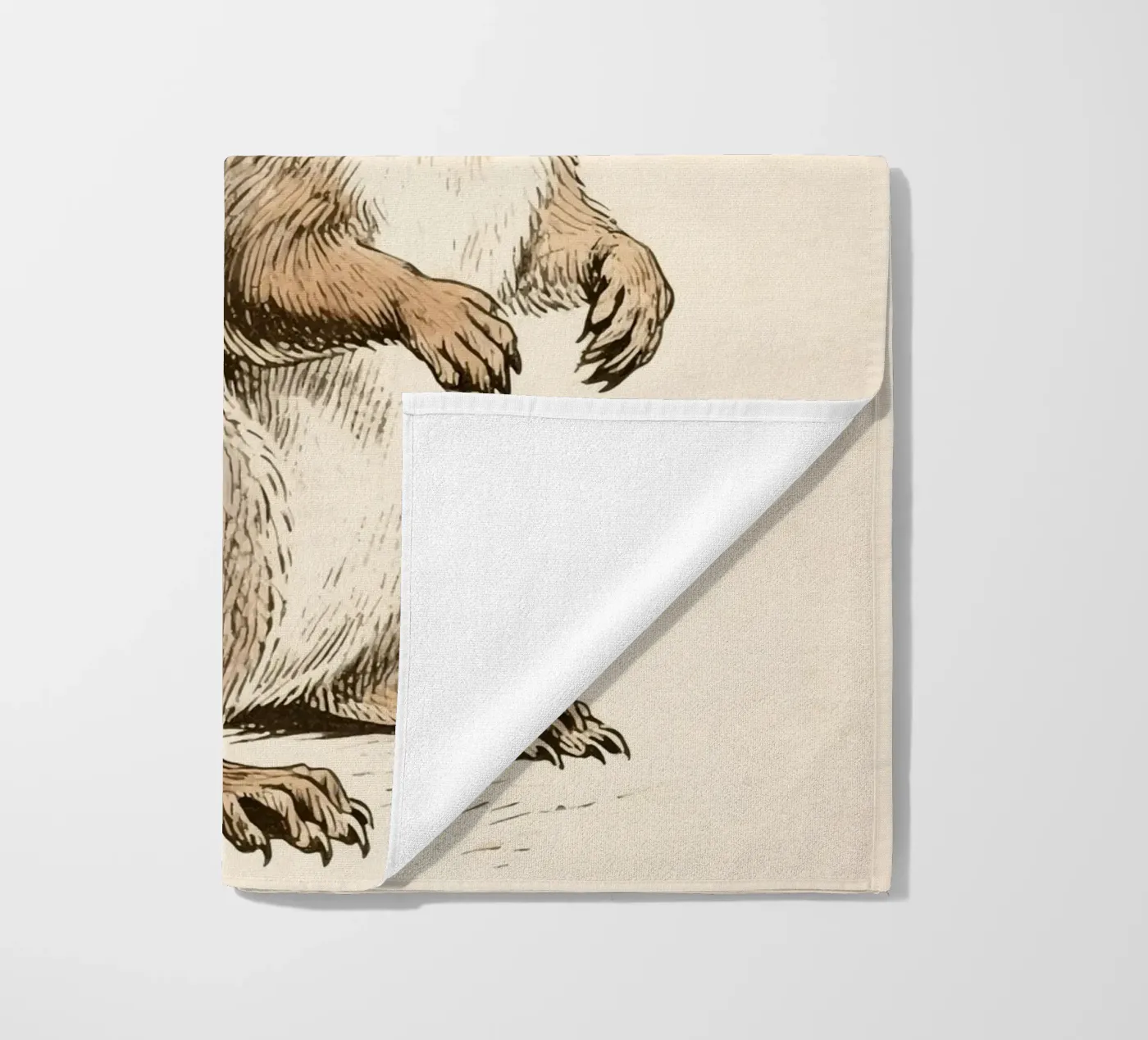 Scoiattolo telo mare da knowledge