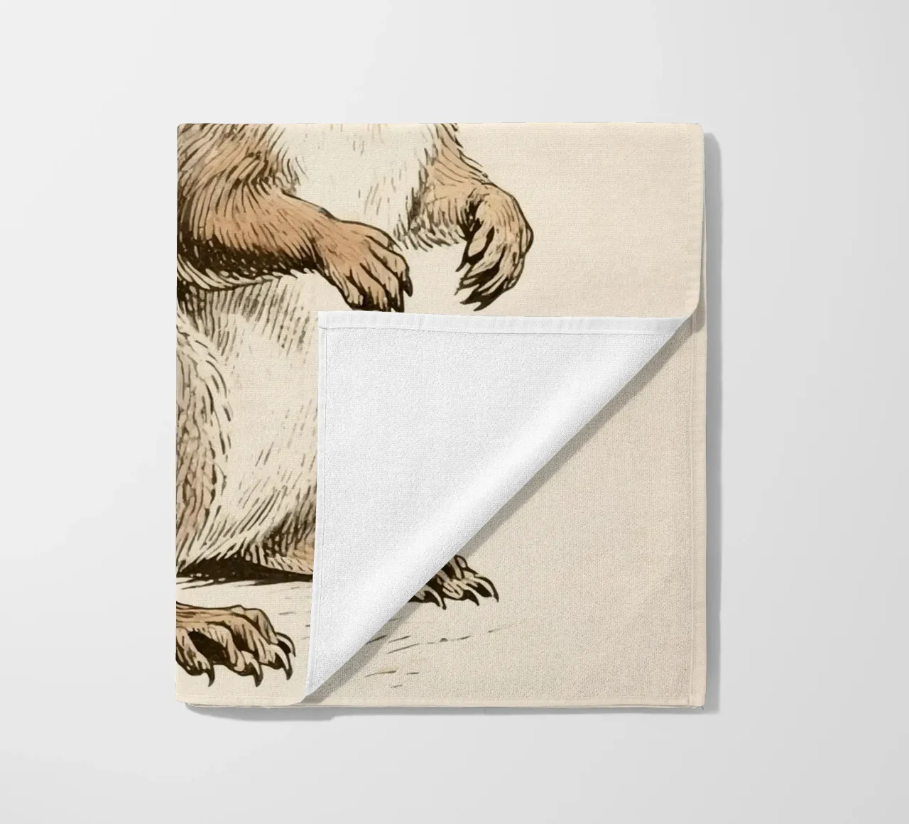 Scoiattolo telo mare da knowledge