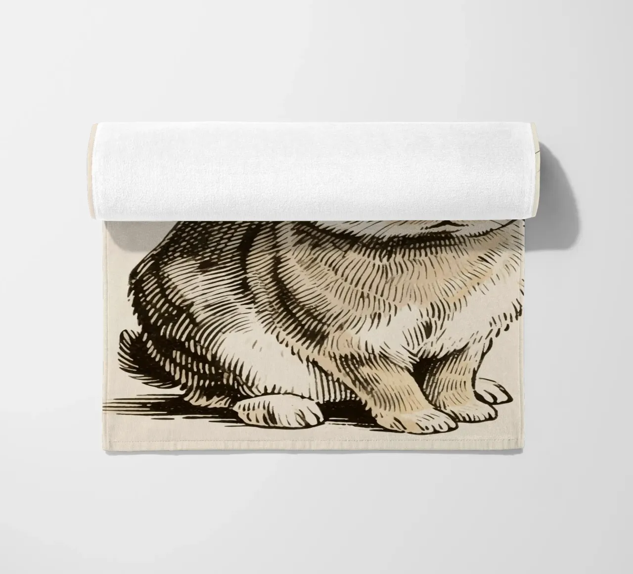 Coniglio telo mare da knowledge