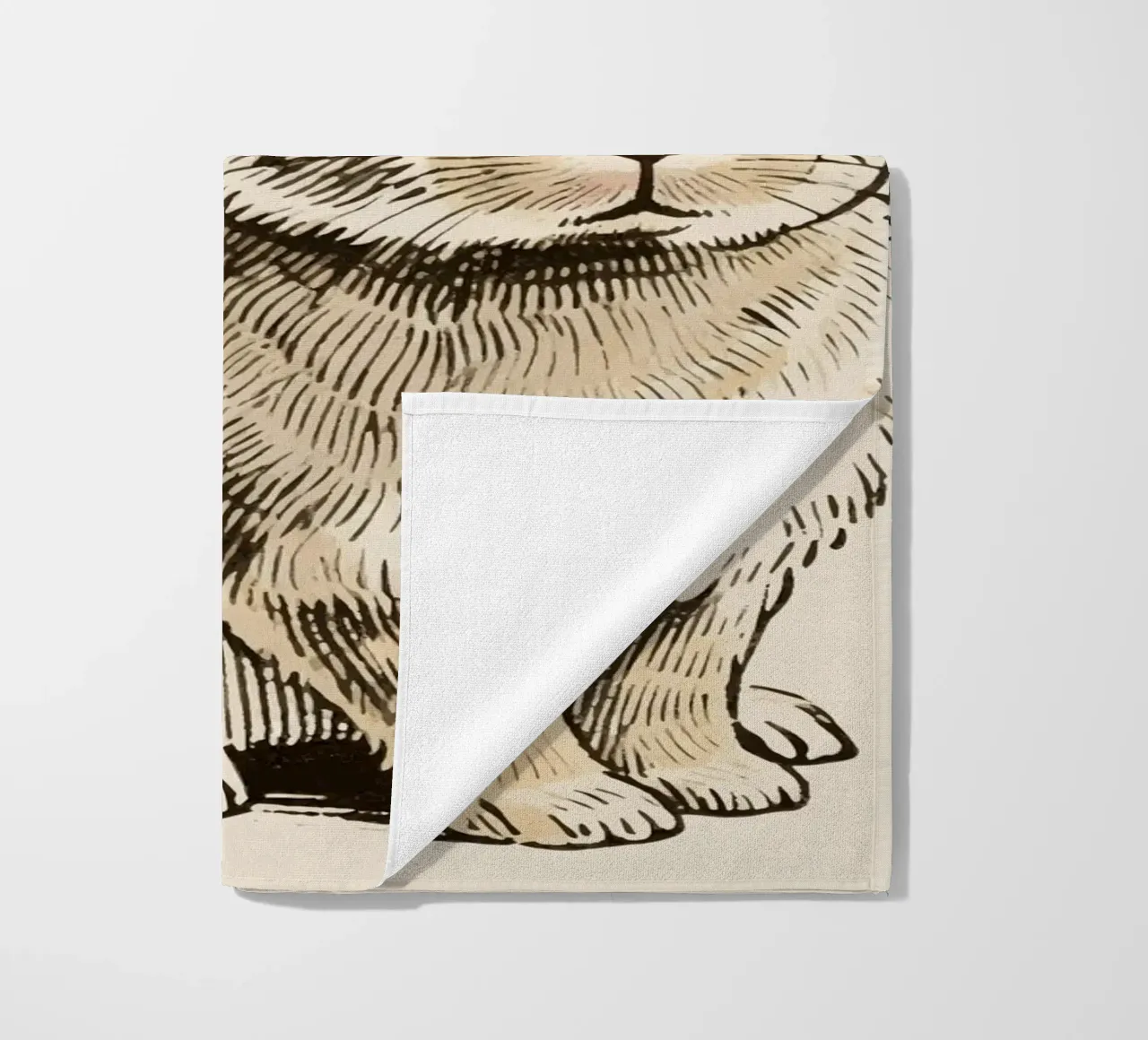 Coniglio telo mare da knowledge