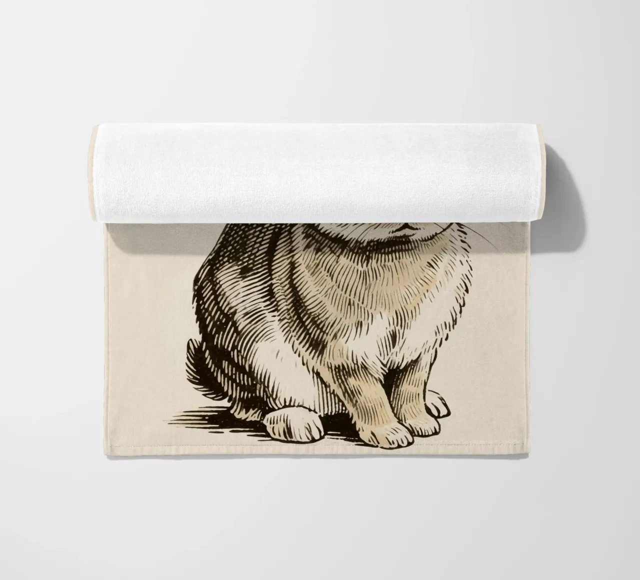 Coniglio telo mare da knowledge