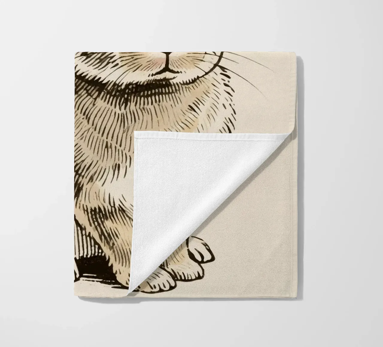 Coniglio telo mare da knowledge