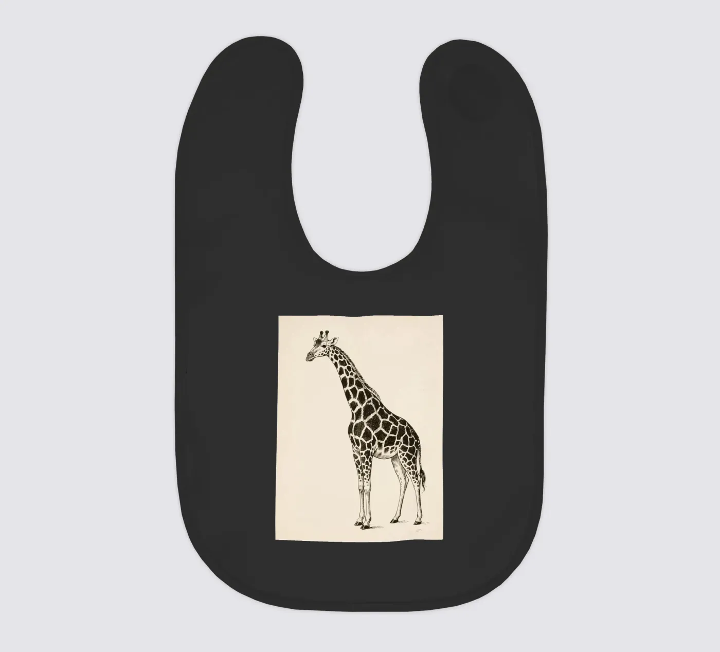 Giraffa bavaglino da knowledge