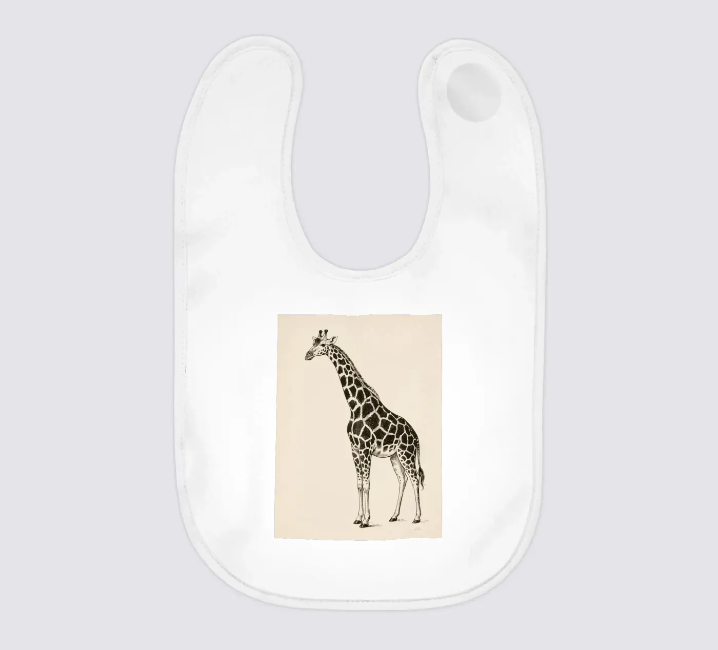 Giraffa bavaglino da knowledge
