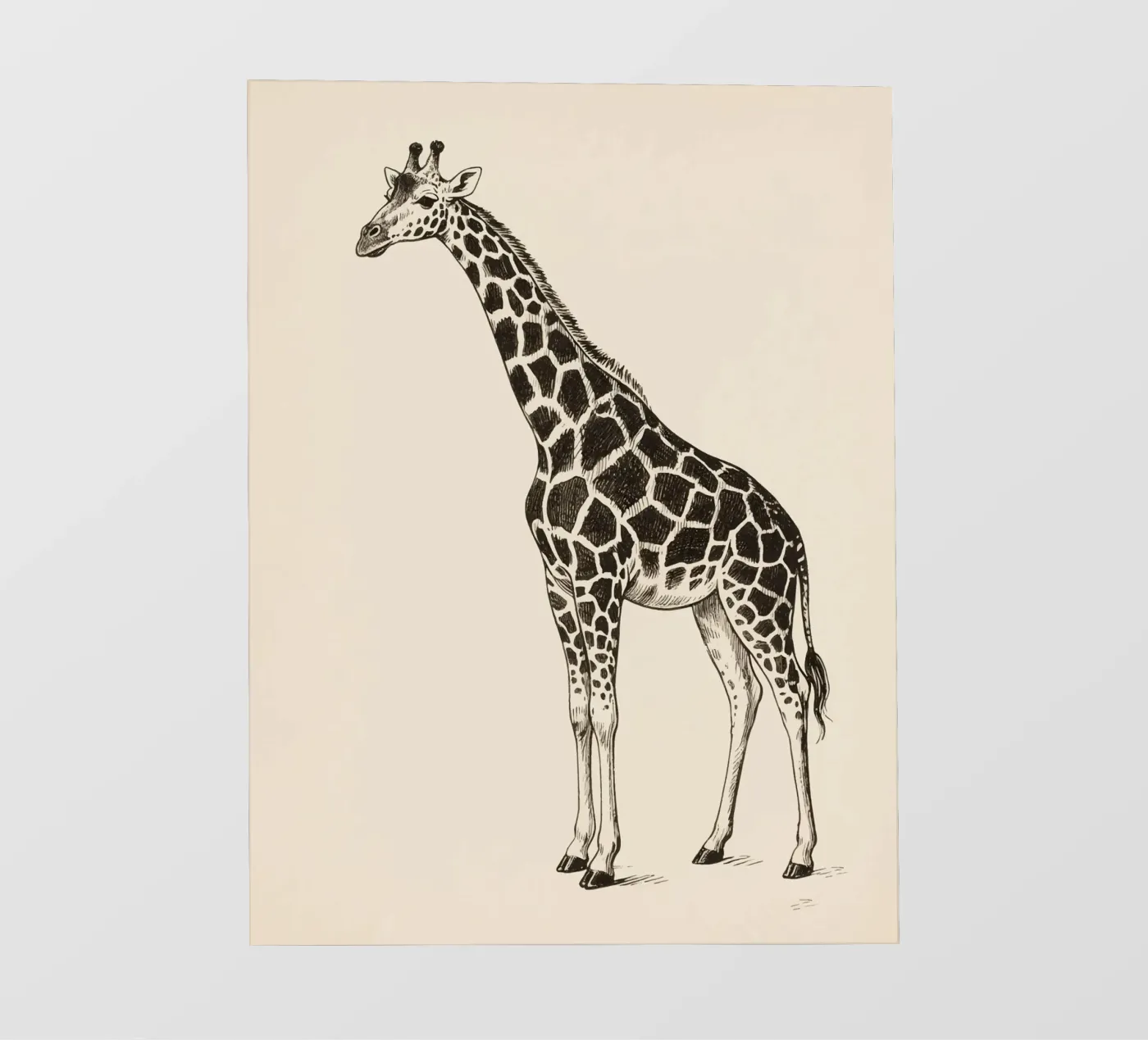 Giraffe fotobehang van knowledge