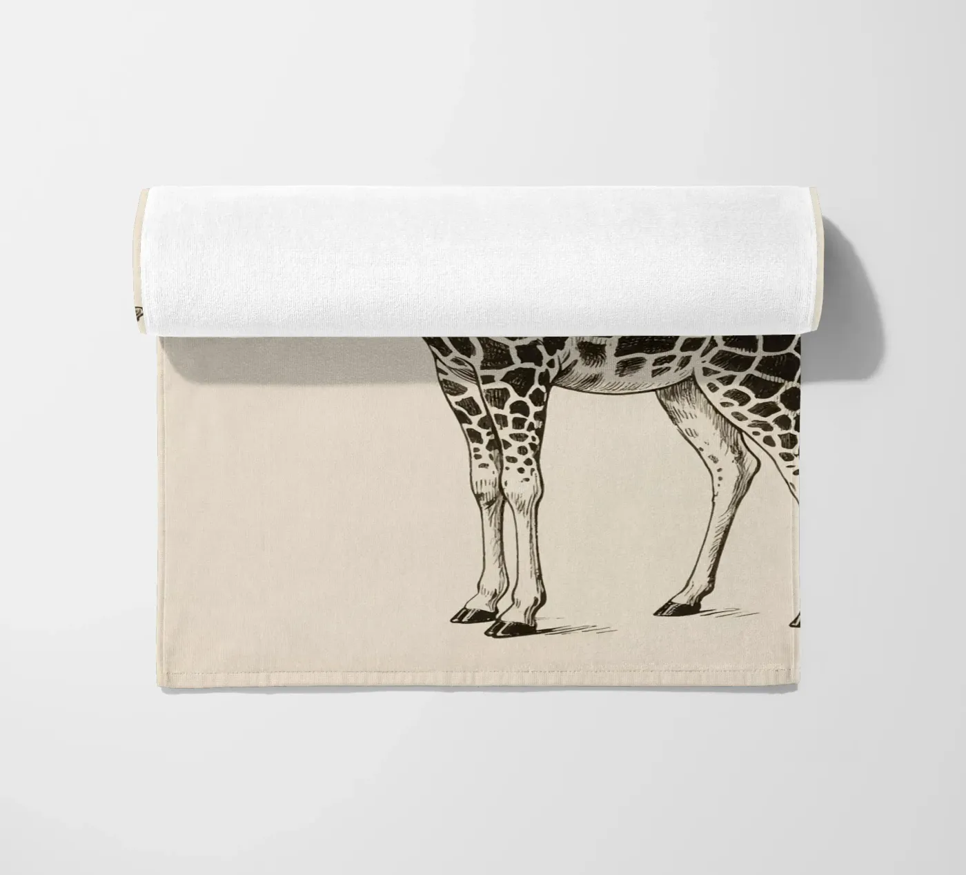 Giraffa telo mare da knowledge