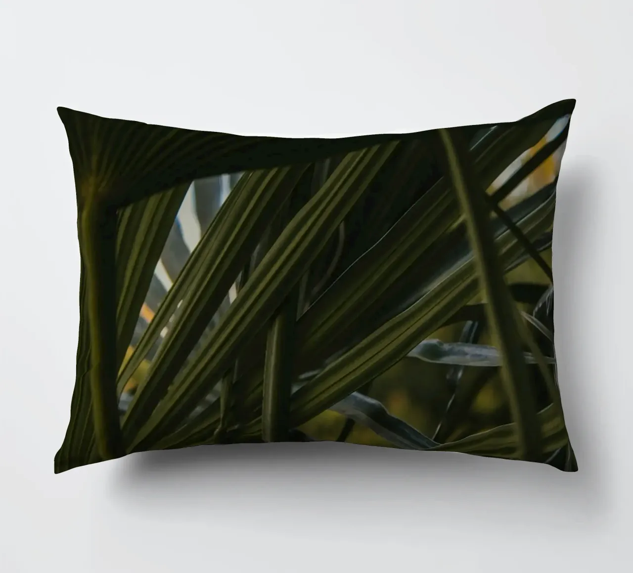 cluster di palme cuscino da lesuki