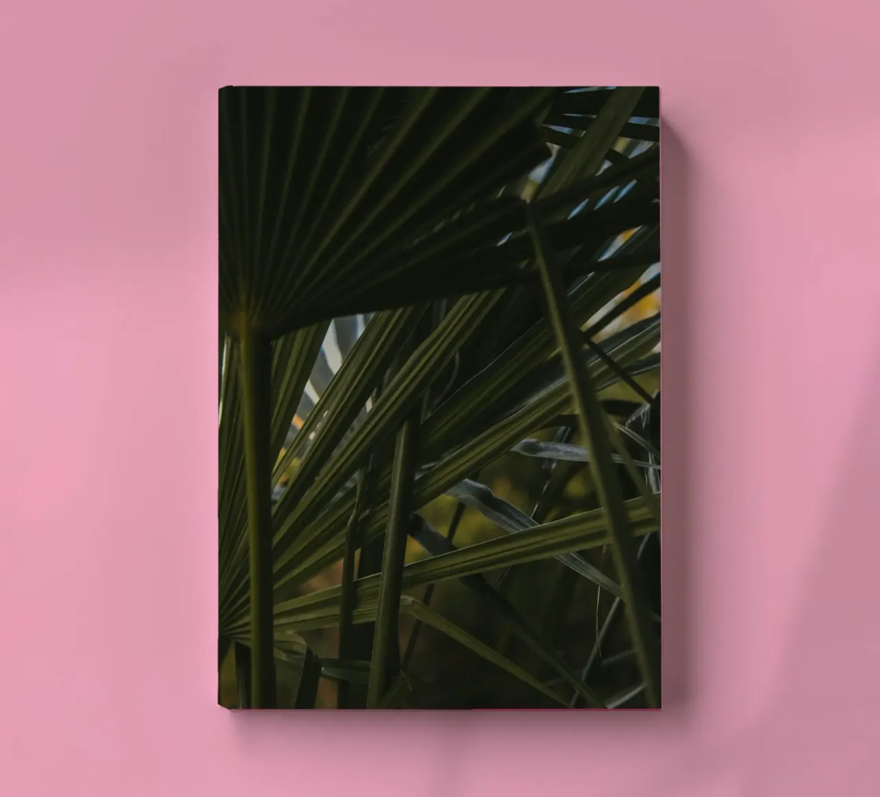 palm cluster notebook by lesuki