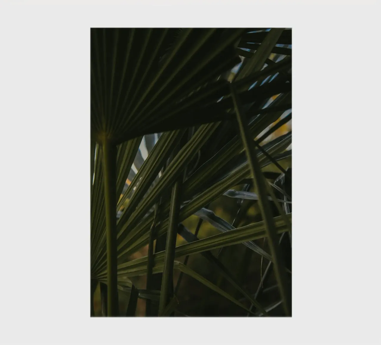 palm cluster notebook by lesuki