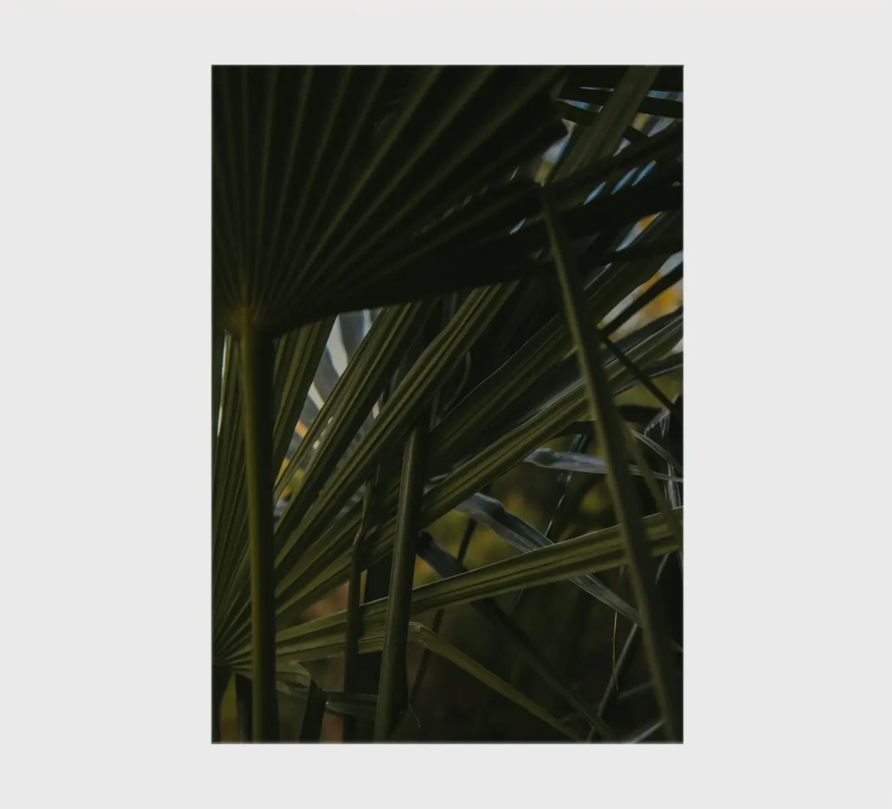 palm cluster notebook by lesuki
