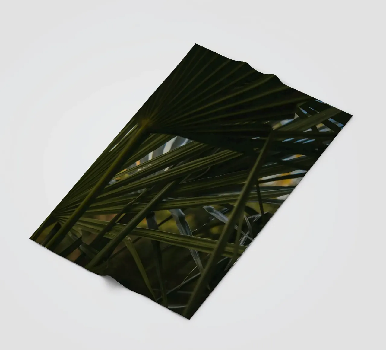 cluster di palme coperta in pile da lesuki