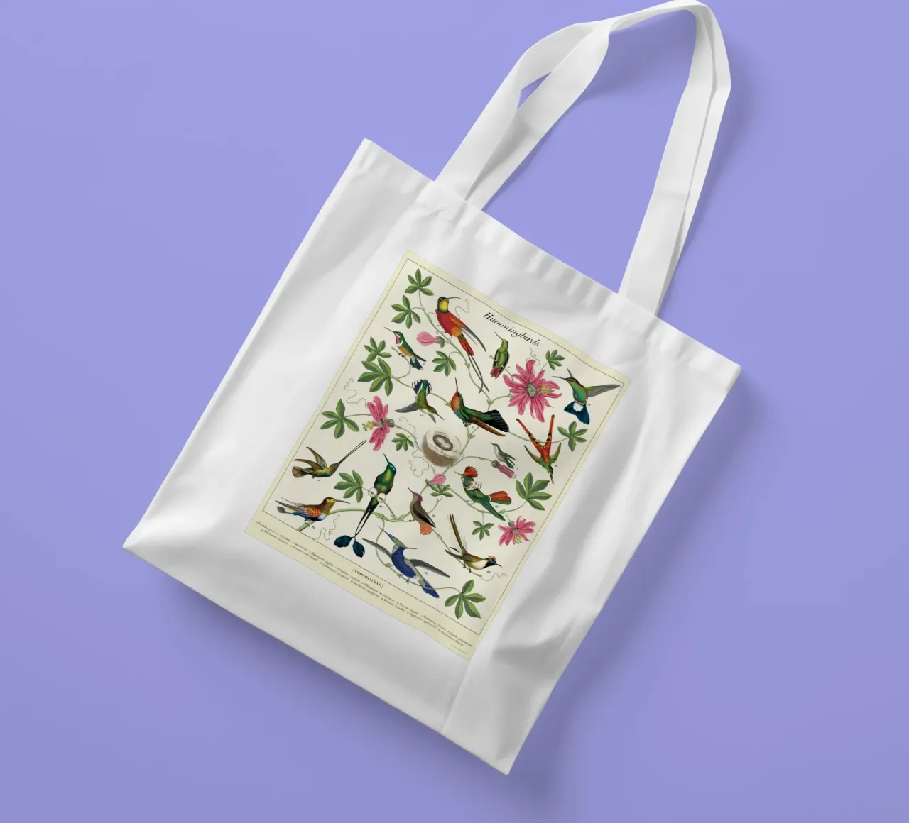 Vintage Botanical Hummingbirds Wall Art tote bag by Graham Robertson