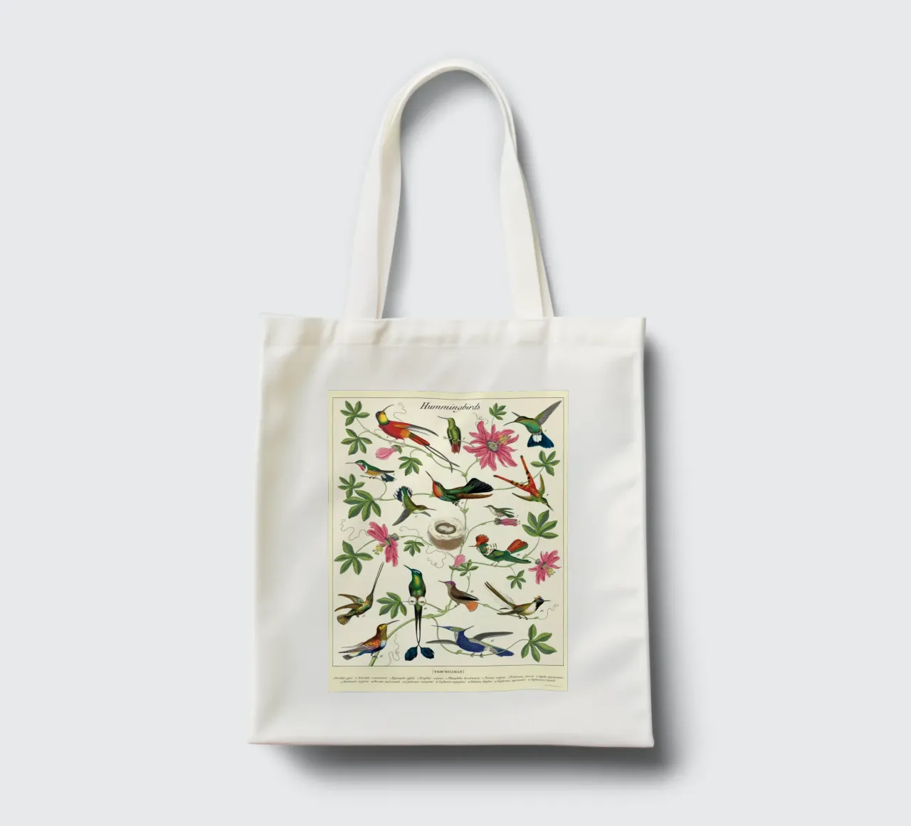 Vintage Botanical Hummingbirds Wall Art tote bag by Graham Robertson