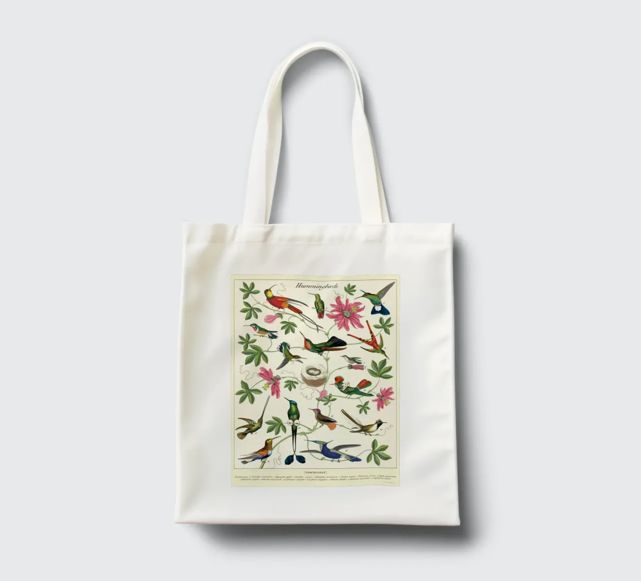 Vintage Botanical Hummingbirds Wall Art tote bag by Graham Robertson
