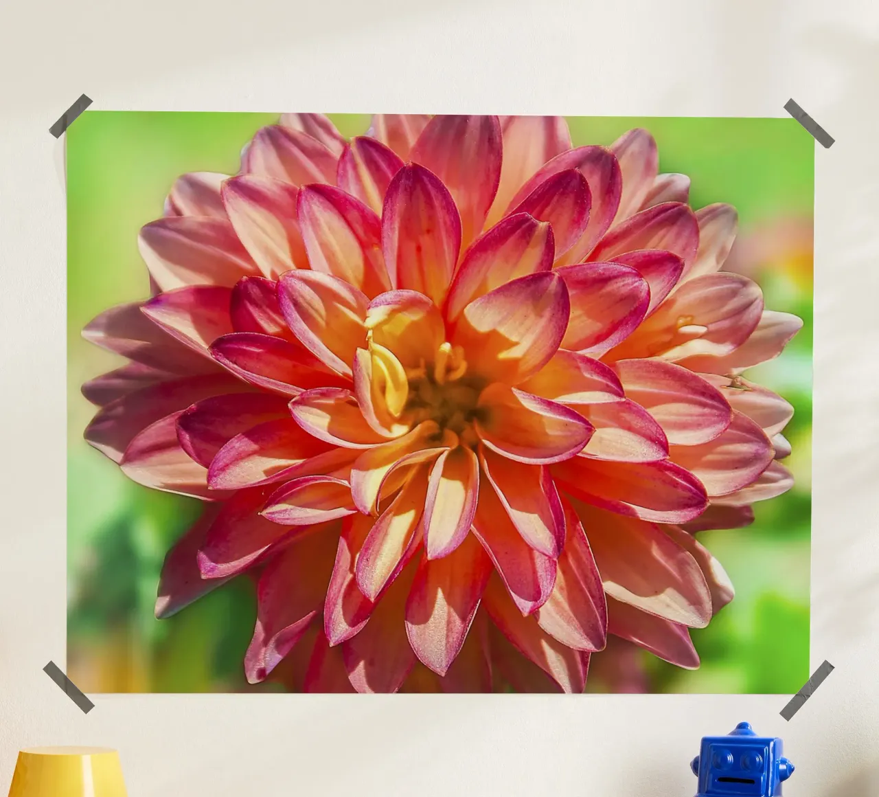 Your Inner Dahlia - Stampa d'arte da parete di un fiore vibrante poster da jay