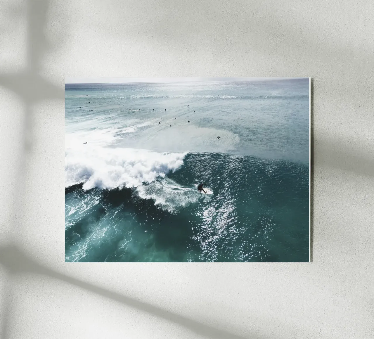 surfista plexiglass da Earthly Visions