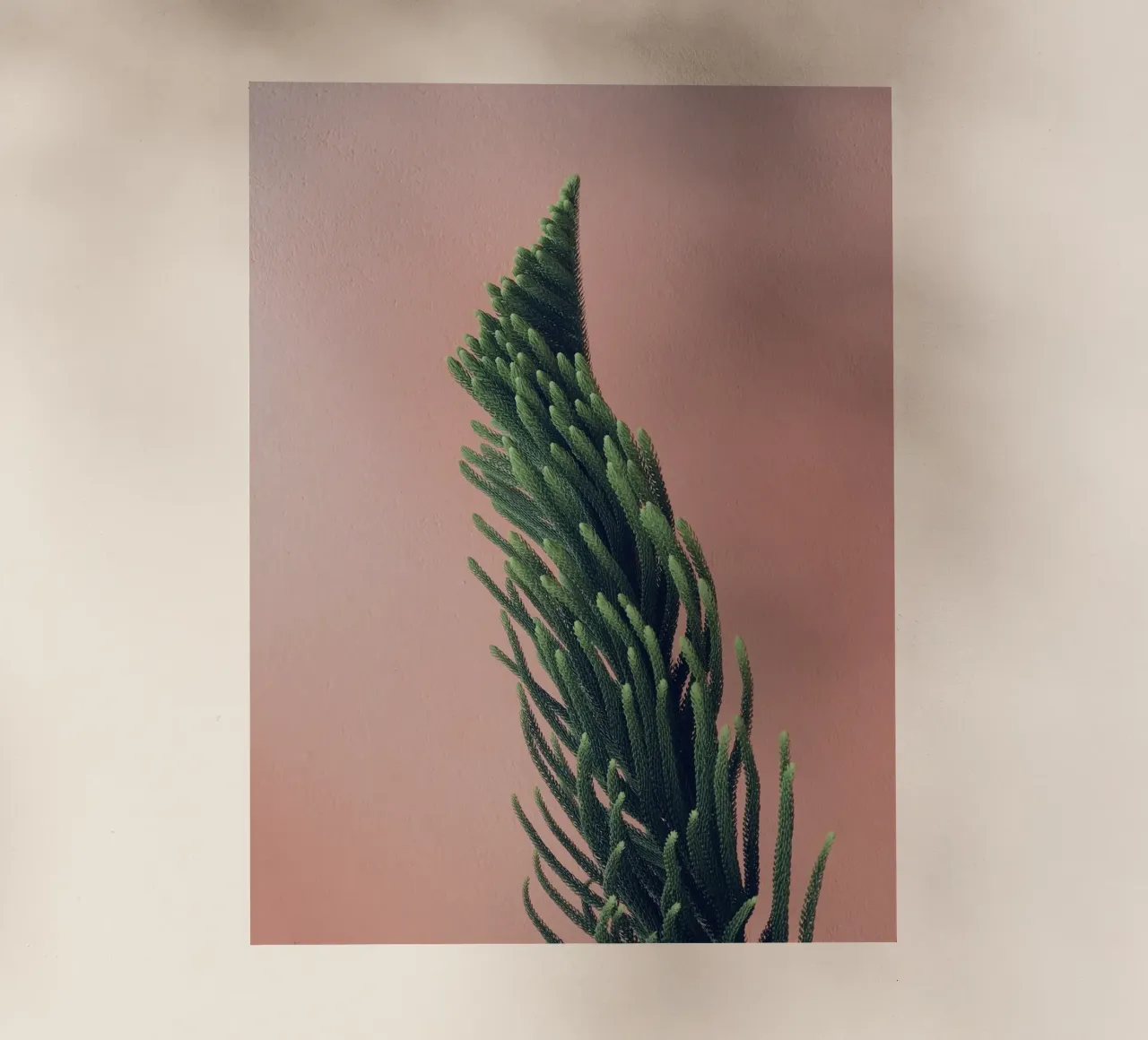 albero pellicola backlit da Earthly Visions