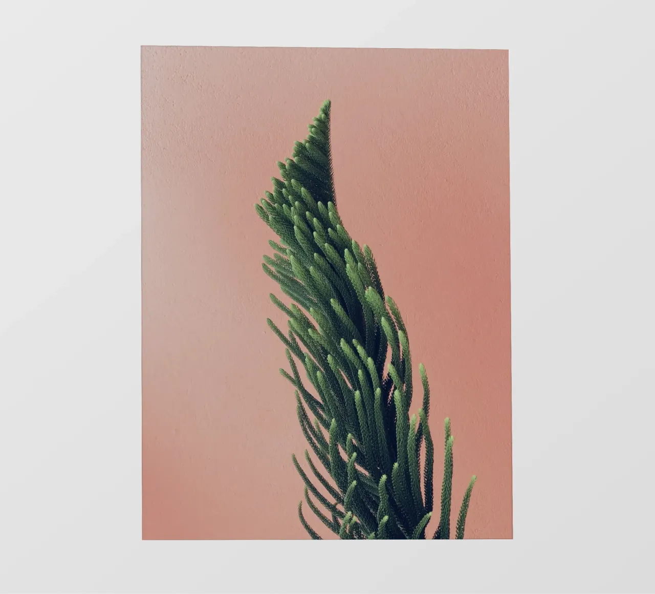 albero telo in pvc da Earthly Visions
