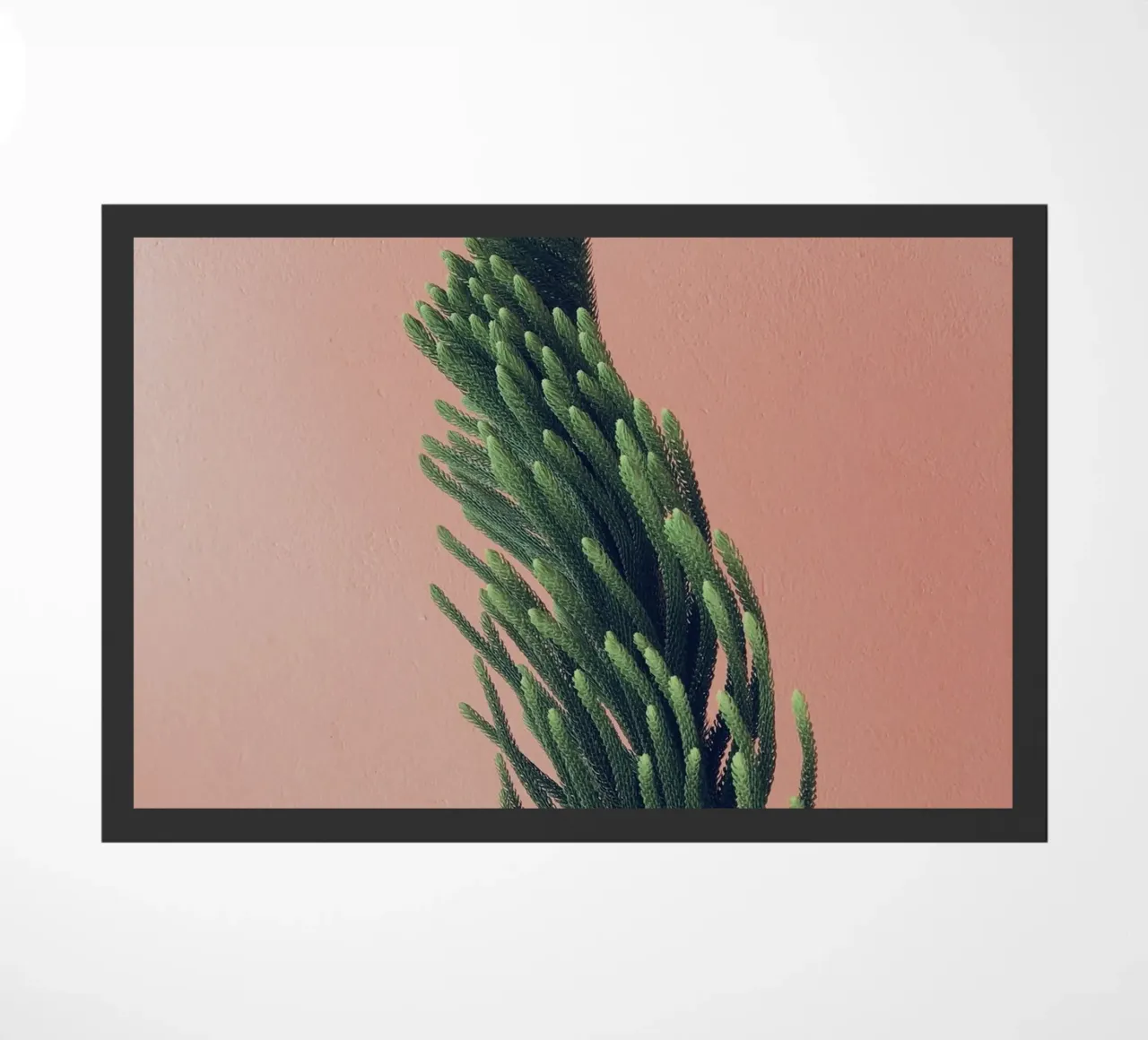 albero zerbino da Earthly Visions