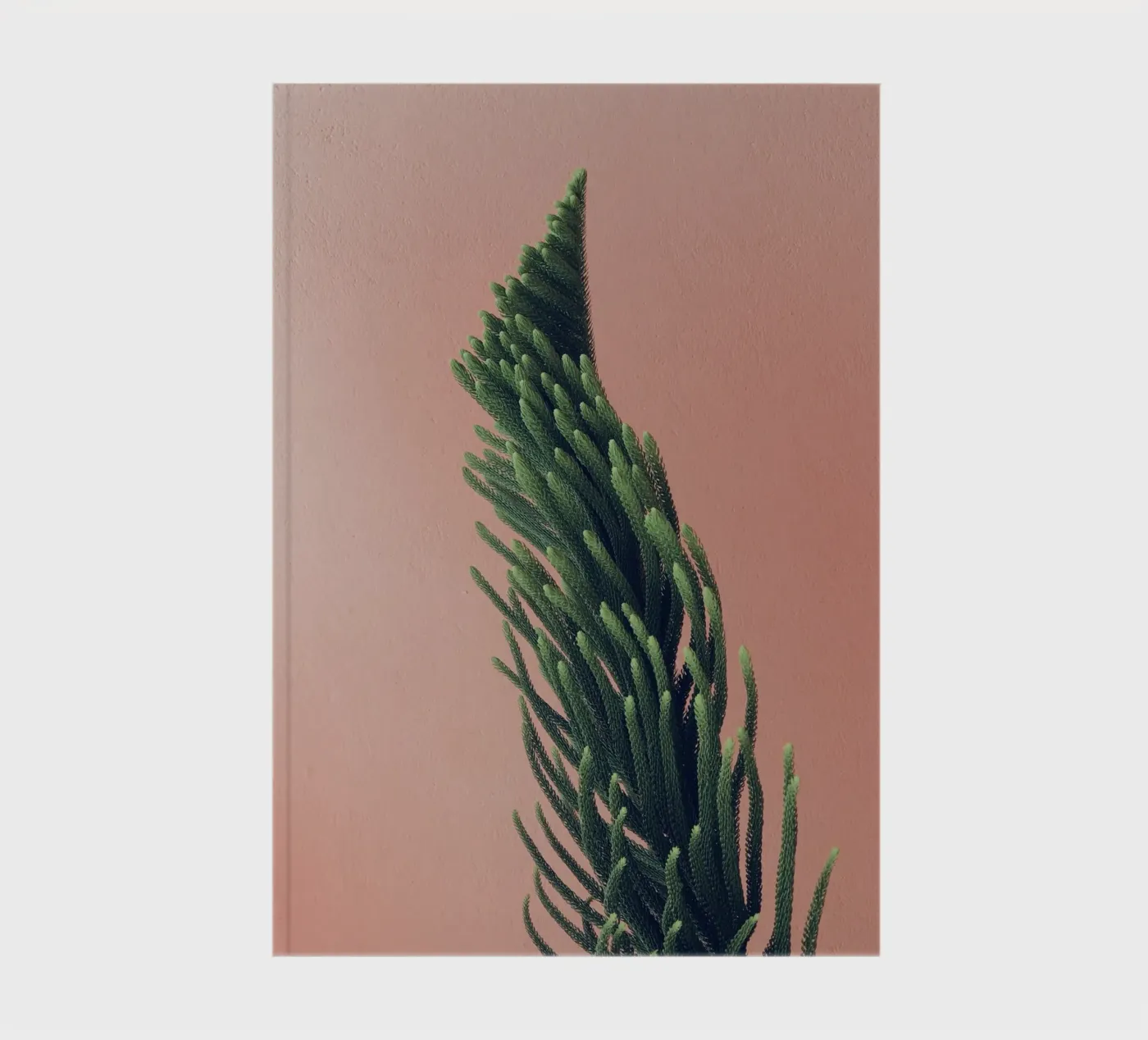 tree notebook by Earthly Visions