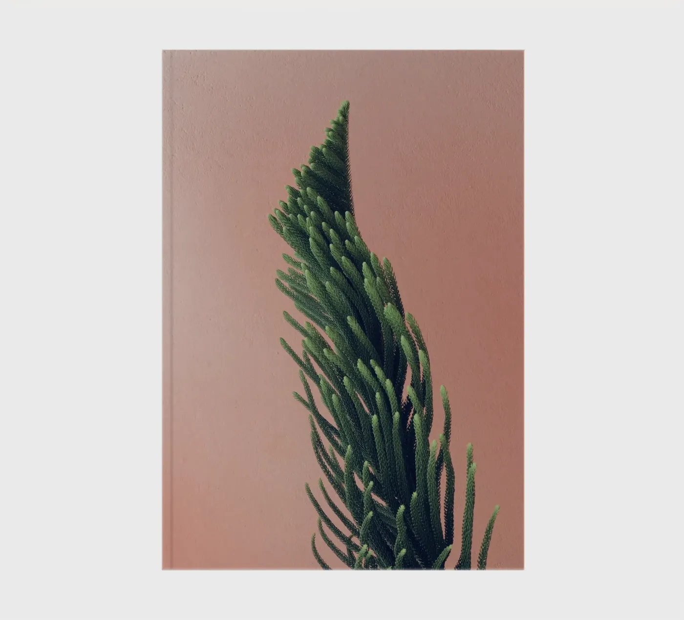 tree notebook by Earthly Visions