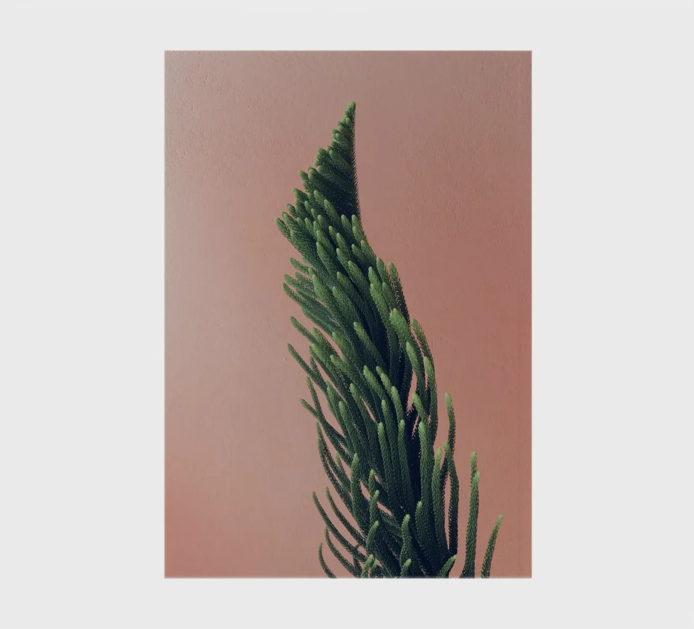 tree notebook by Earthly Visions