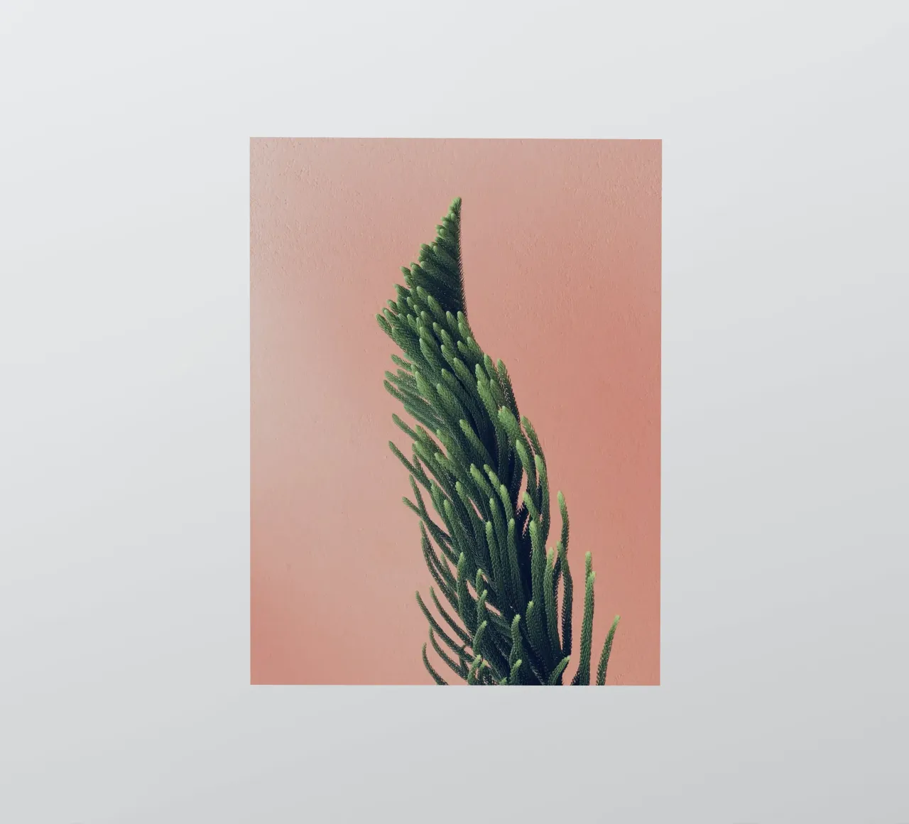 tree sticker by Earthly Visions