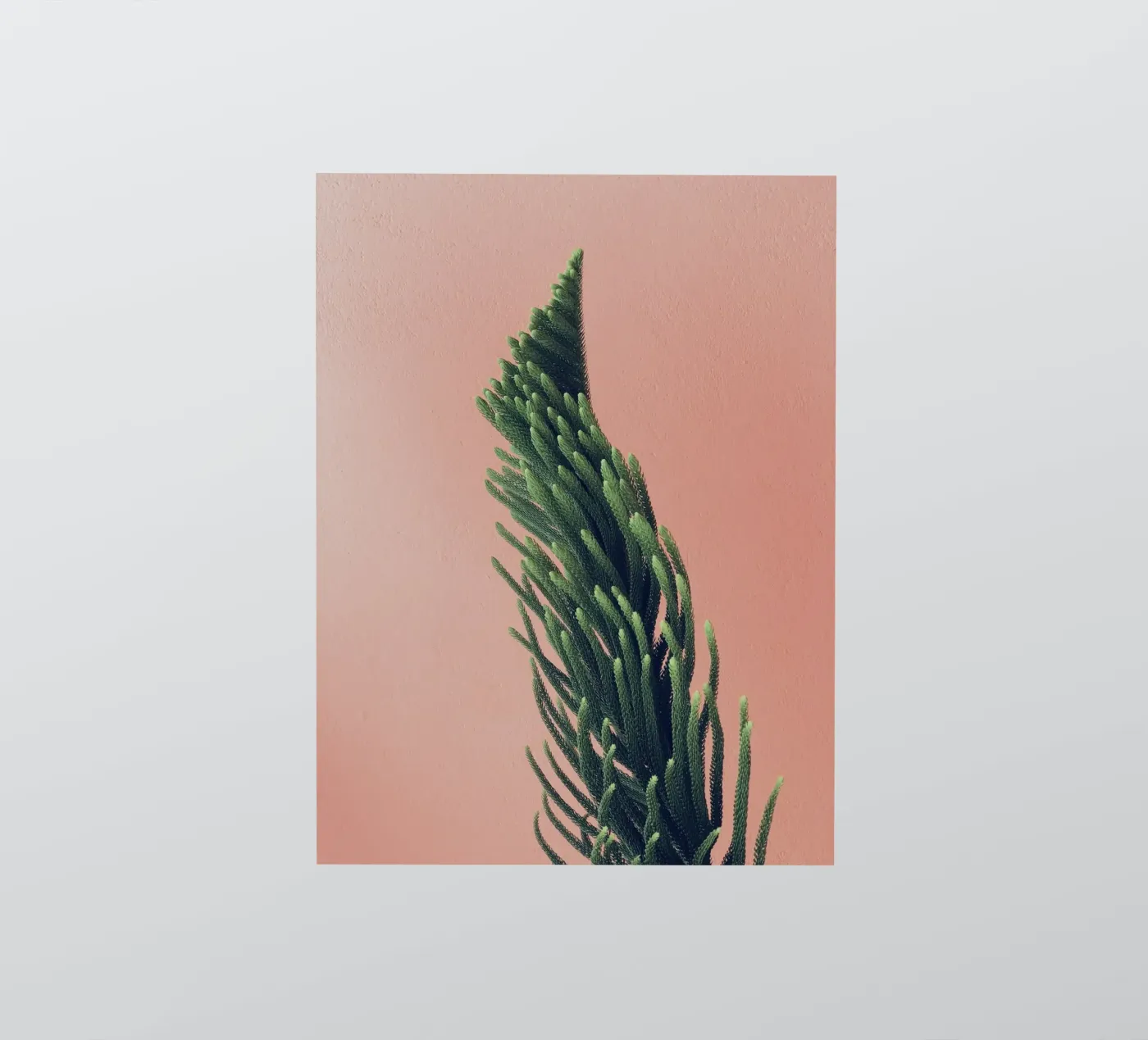 tree sticker by Earthly Visions