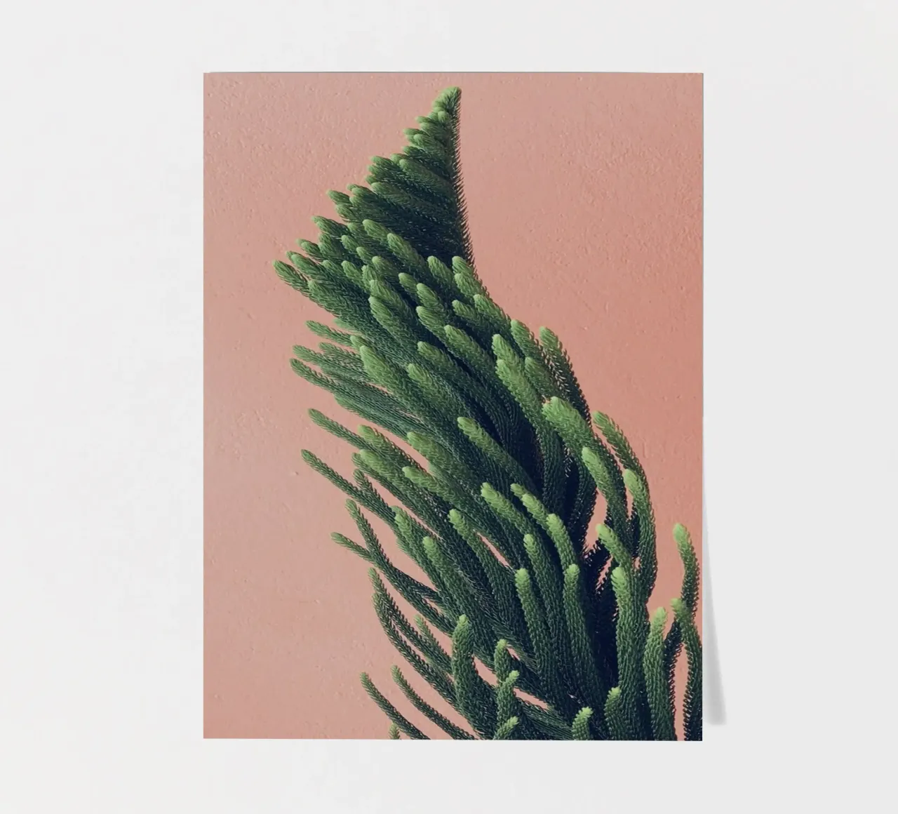 tree sticker sheet by Earthly Visions