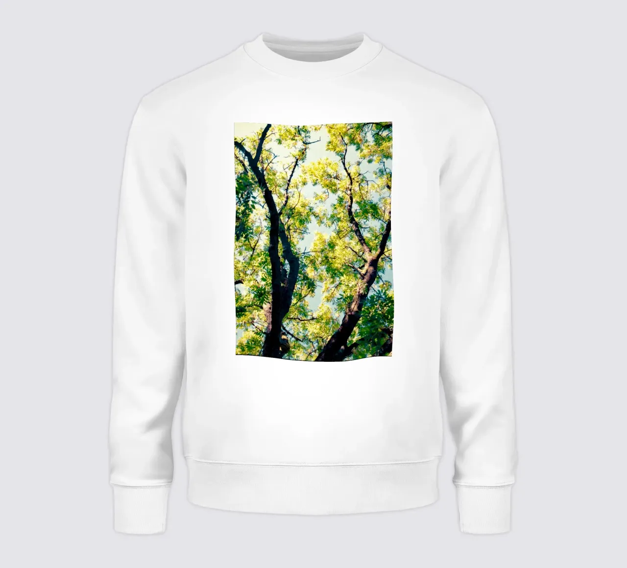 albero alto con foglie gialle felpa da Earthly Visions