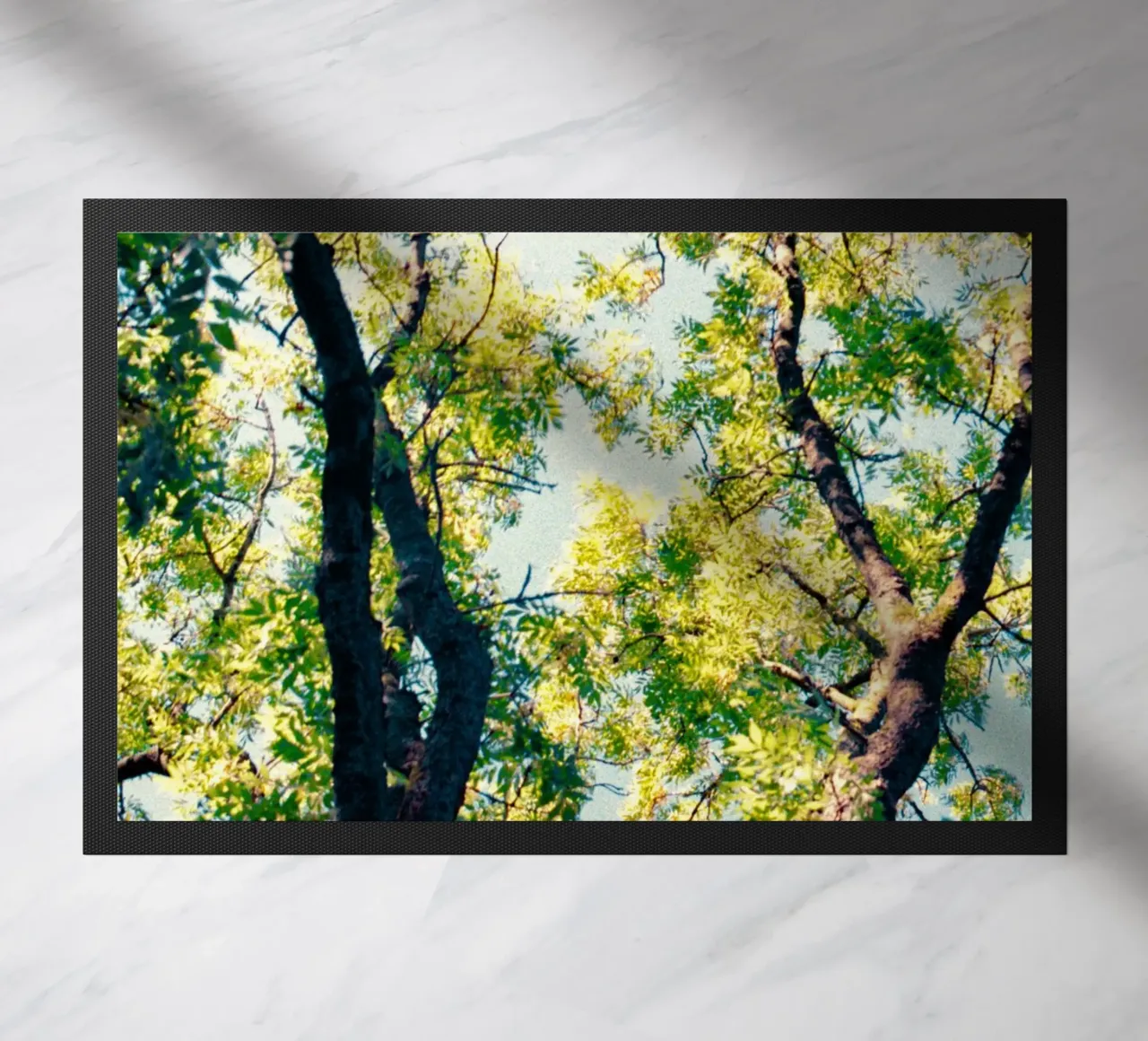 albero alto con foglie gialle zerbino da Earthly Visions