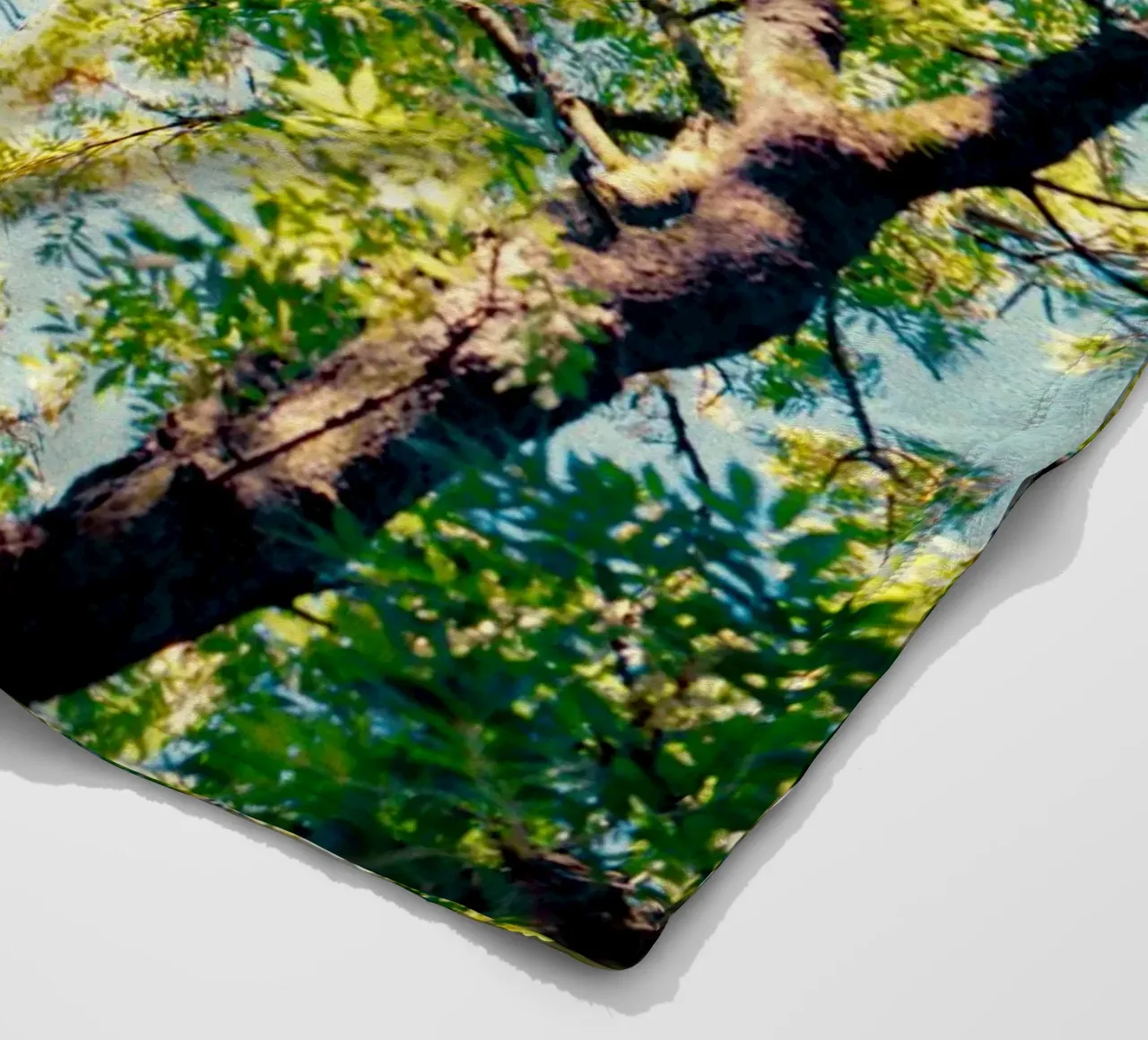 hoge boom met gele bladeren fleecedeken van Earthly Visions