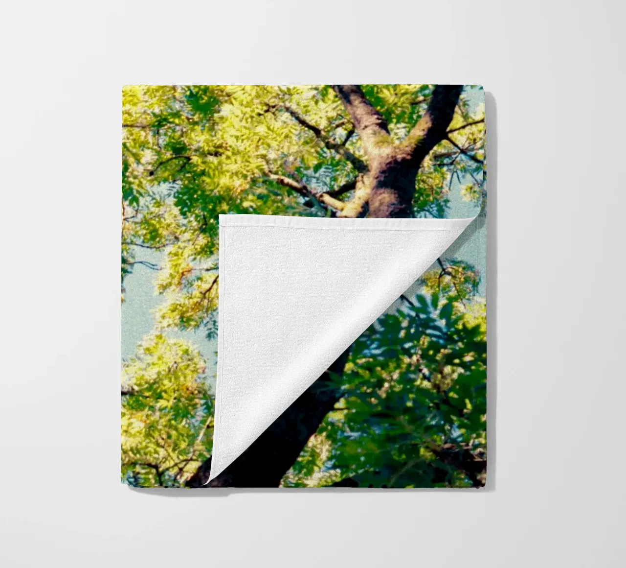 albero alto con foglie gialle telo mare da Earthly Visions