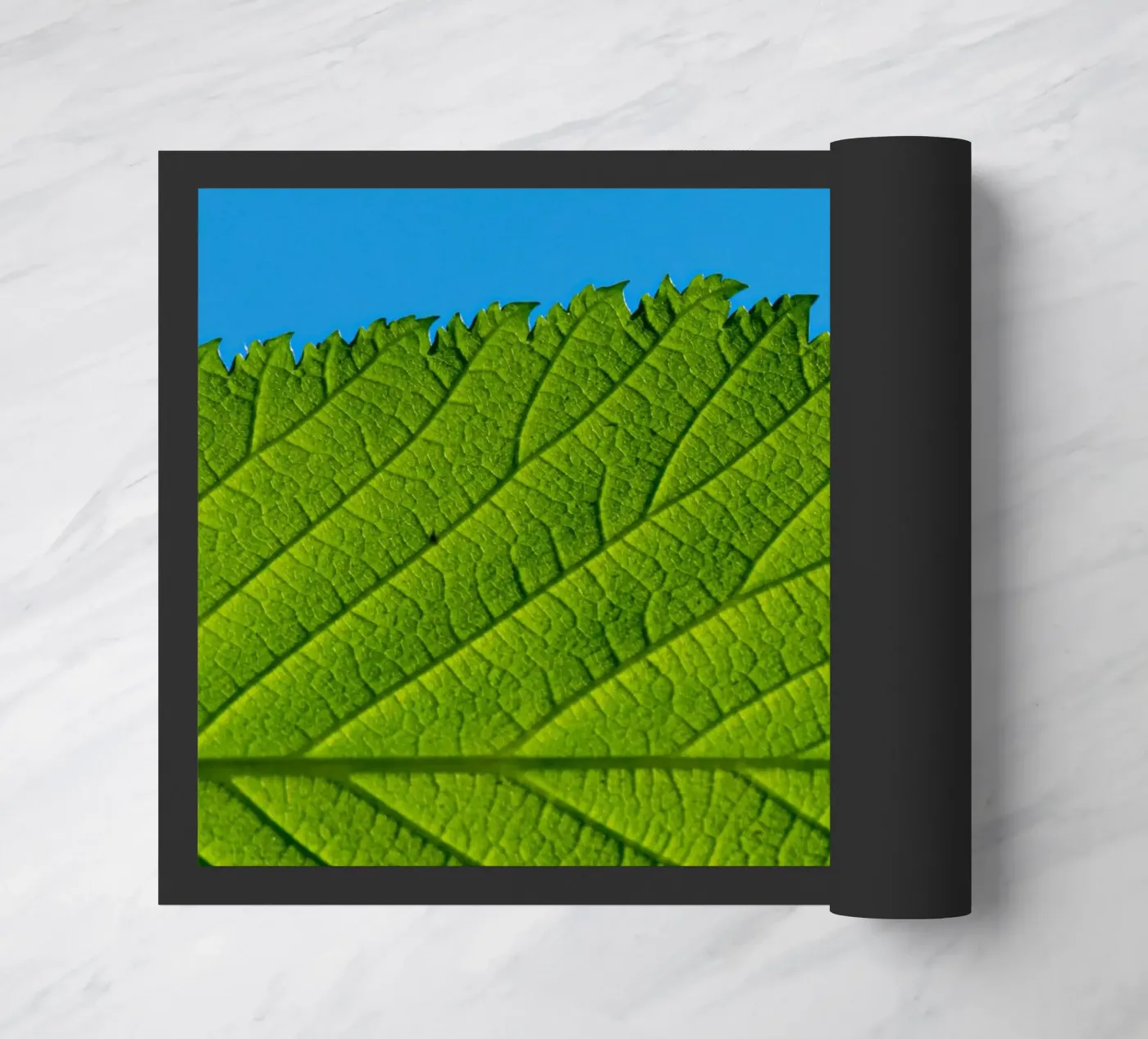 Green leaf doormat by anderm