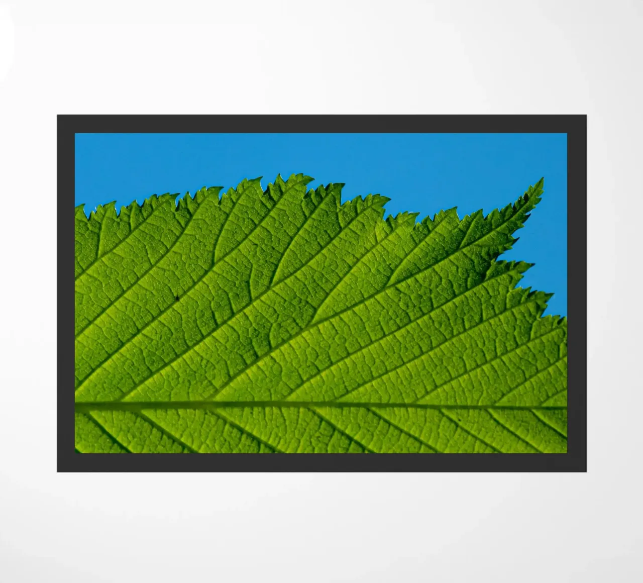 Green leaf doormat by anderm