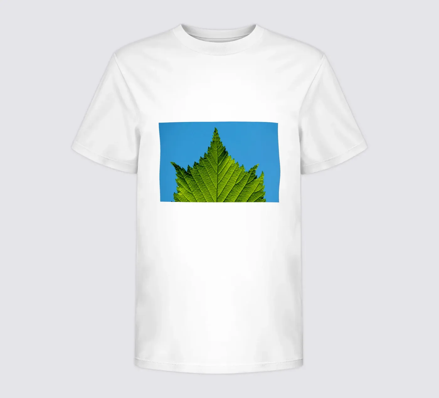 Green leaf t-shirt bambini da anderm