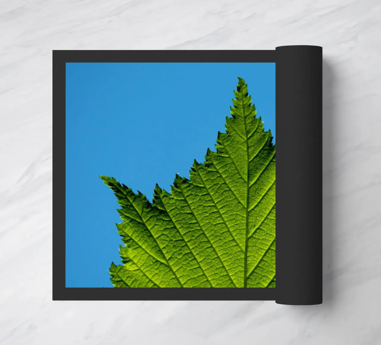 Green leaf doormat by anderm